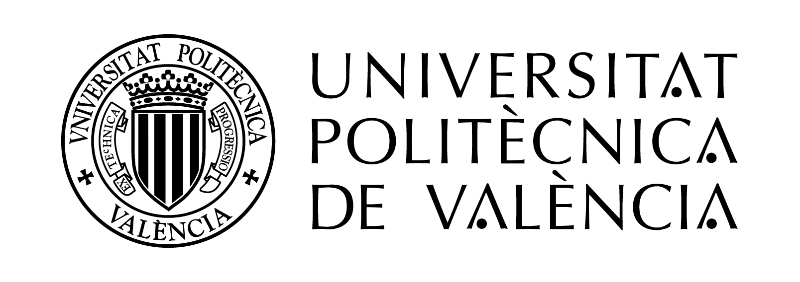 universitat politecnica de valencia